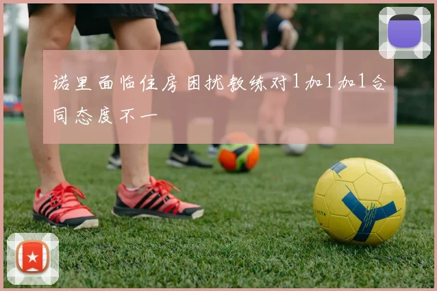 诺里面临住房困扰教练对1加1加1合同态度不一